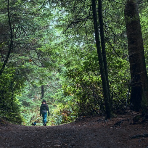 Will You Take A Walk With Me