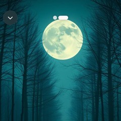 vanishing-paths-2 3.mp3