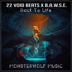 22 Void Beats & B.A.W.S.E - Back To Life