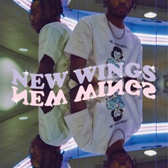 New Wings