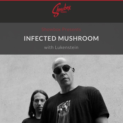 Lukenstein @ Infected Mushroom Mix (Showbox)