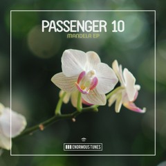 Passenger 10 - Well Tempered