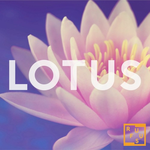 Lotus | Pop Beat