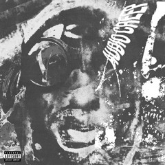 ZillaKami - Track 2 - Annie (prod. Shoki, Reapyy, & krieg)