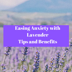 Easing Anxiety with Lavender: Tips and Benefits