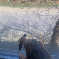 Notion (Prod. yunme)