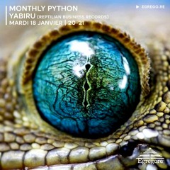 Monthly Python - Yabiru (Janvier 2022)