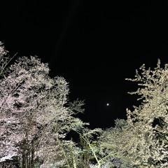 KYTO-TIPSY (Yun9ChaL Remix)