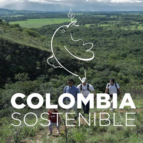 ¿Cómo aportar a una Colombia Sostenible en época de cuarentena?