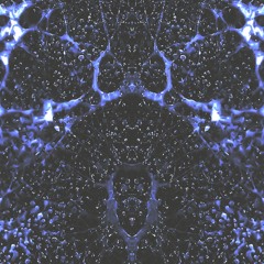 the network