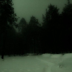 you p. zivo