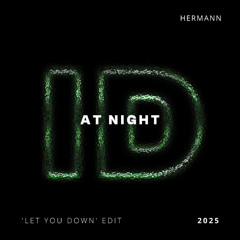 At Night (Hermann 'Let You Down' ID by Rivoli Indie Dance Edit)