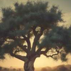 Music: The Hour Cometh-(Spirit’s trumpet song)