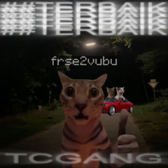##Terbaik [Dsea x Midso]