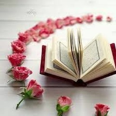 سورة النمل - الشيخ محمد أحمد شبيب