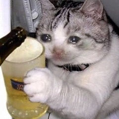 Vom Schlafplatz bis zum Traum über die Hoffnung bis zur Depression zurück