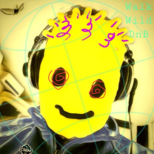 Wild Trip DnB