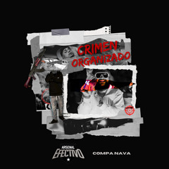 Crimen Organizado