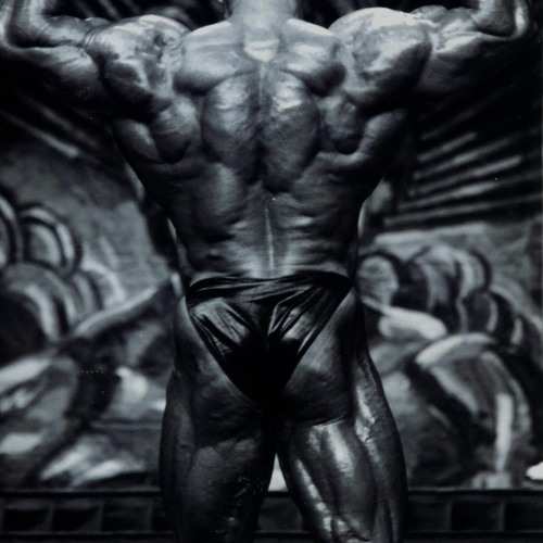 Dorian Yates Motivation - The first Massmonster in History