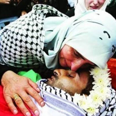 يا أم محمد نيالك | الشهيد محمد كيوان