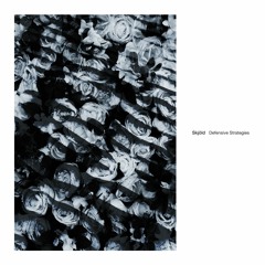 Skjöld - Radial
