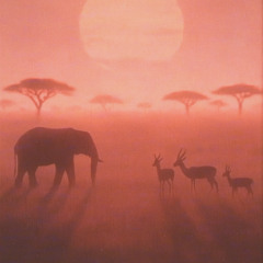 Chopped & Screwed in Africa