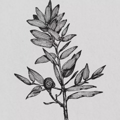 6 - The Original Tortured Poet (An Examination Of An Unwell Boy)