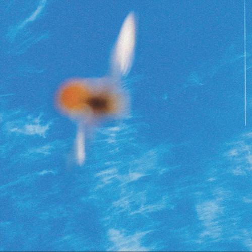 DHAUM - A1. Yout Fields