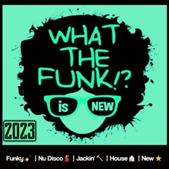 Funky & Disco House Mix 2023 ⭐ What the Funk is Nu?! ⭐ Mark Lower 🔥 Lissat 😎 Serge Funk 💃🕺