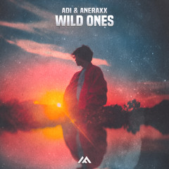 Wild Ones (Extended Mix)
