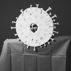 The VAN Podcast – Episode 6: Aideen Barry