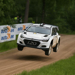 Rally Rally