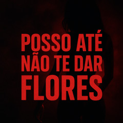 POSSO ATE NÃO TE DAR FLORES (( DJ JUNIOR DA SERRA ))