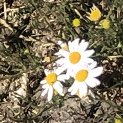 iF yOu'rE GOing TO San fRAnciscO