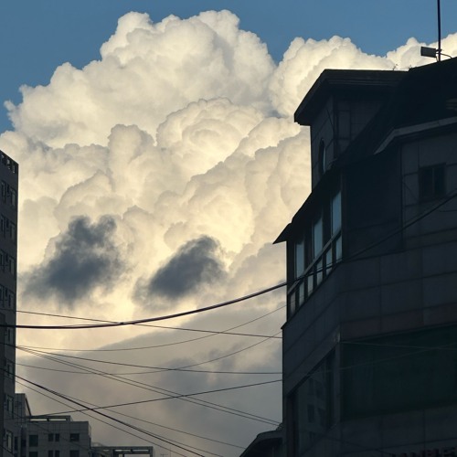 하늘이 무너지더라도