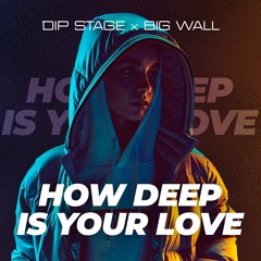 Dip Stage  - How Deep Is Your Love
