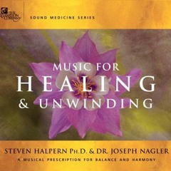 [READ] KINDLE PDF EBOOK EPUB Music for Healing and Unwinding: Two Pioneers in the Eme