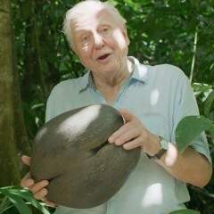 Dizzave Gattenbourough