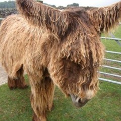 cru - Talk W  Vsync (three Dimensions Apart)