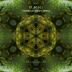 Eukali - Terra Reform (Original Mix)