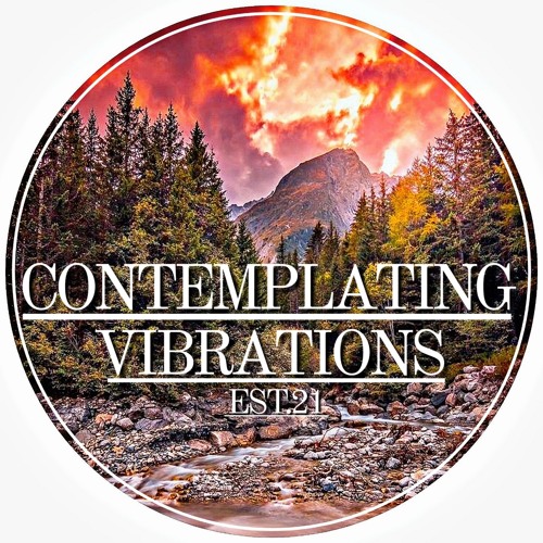 Contemplating Vibrations [#13] Paranoid SouL