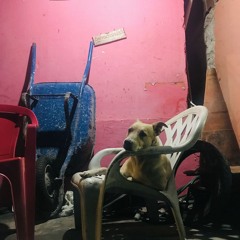 Club Coco w/ Coco María: Live from Mexico City 100225