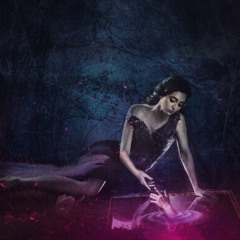 Velvet Veil