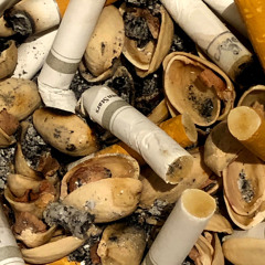 シンデレラストーリー/Hometown wind