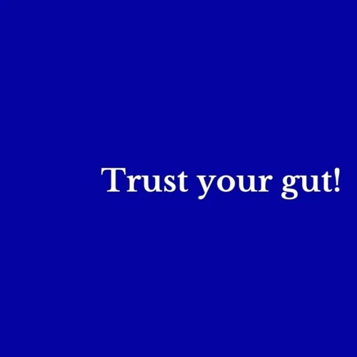 Trust Your Gut! prog rock*