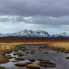 Ghosts Of The Tundra