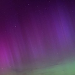 El jardín por la noche de polar Pt.1