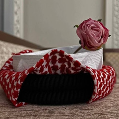 . ‎⁨عبدالرحمن ال نجم⁩