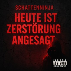 Heute ist Zerstörung angesagt 🔥