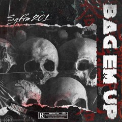 SyFrm201 - BAG EM UP